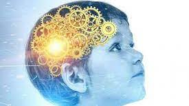 Principios de Neuropsicología Infantil